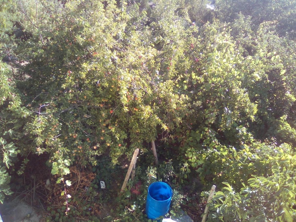 Вилна Зона Златни Пясъци, Спирка Ален Мак Varna Esterno foto